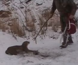 櫤ˤäӤ֤ܥ֥åȤε߽з