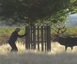 ��뵤������ͺ����������������줿�ˤ��ܵ��ε����ä�