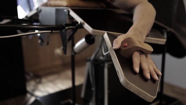 ���������ʤ��Ļ�ˤ��äƤʤ�롪������饹����եȤ��Ȥ߹�碌�ƻȤ�Ļ�δ������ƥࡡBirdly