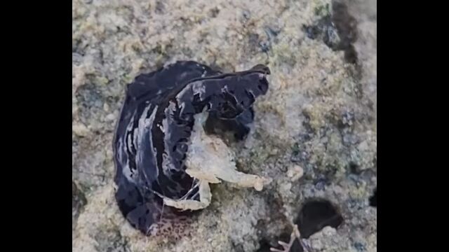 Ĭί�ޤ�ǥ��ˤ���߹�����Ῡ���褦�Ȥ���ҥ�ॷ