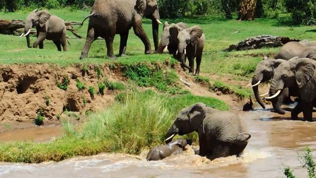 ϤǴή줫֤󥾥ε߽з