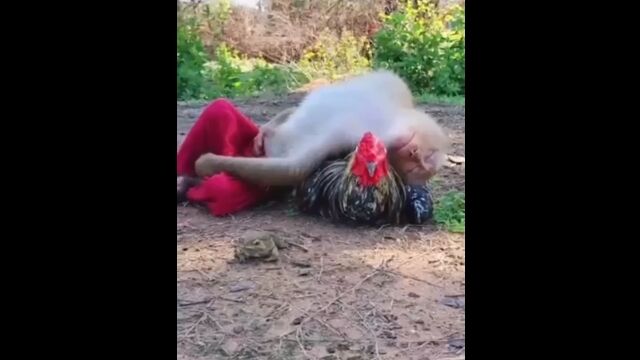 ������ȥ˥�ȥ�ȥ��롣�ʤ������ɤ��餷���ȥꥪ