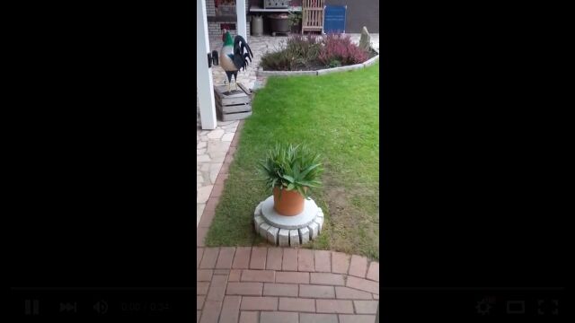 �츫�ʤ����ů��ʤ�����ȭ�ʤΤˡġġ�����С�������ȸ������̩�Υӡ��륿�
