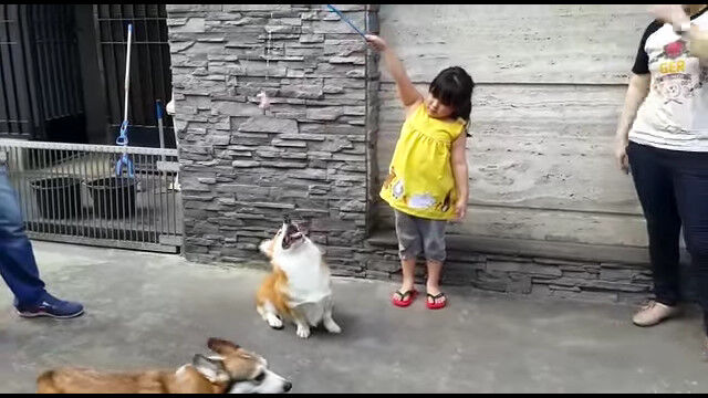 �¤˥��ޡ��ȡ������餷��������ǽ�Ϥ򸫤�������������