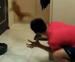 �ä���ǭ��������֥����פΤ��ʤ����ʤ��Ф�