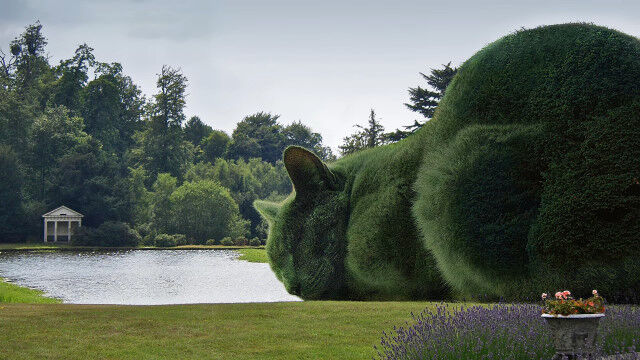 ǭ�η��Υȥԥ��꡼�֥ȥԥ��꡼������åȡס�SNS�ǿ͵���������塼��쥢�ꥺ�ࡦ������