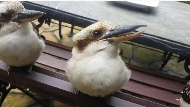 ƨ������Ƭ����Ǥ����Ƥ����5���βİ�����饤���糧��