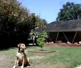 ΢ڤ5ǯ֤ǤɤĹ1ʬ֤ˤޤȤ᤿󤷱