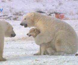 ưǡۥۥå祯ޤɤʤäϥ