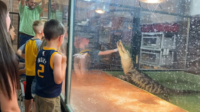 �ڱ������ա��ƥ楿����ưʪ��ǽ�����������ˤ˳��ޤ����Ρ����Ҥ��󤬥�ˤ����Ӿ�ꡢ�ǥ���������ɤ�