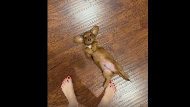 ­���ˤ������������ߡ��֤��������Ǥ����פȸ����Ф���θ�