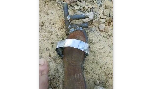 HݤľФ뼫롣äݤ