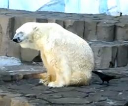 �Ͼ����������á��ۥå��祯���ޤ�ĥ�ĥ����դ����饹