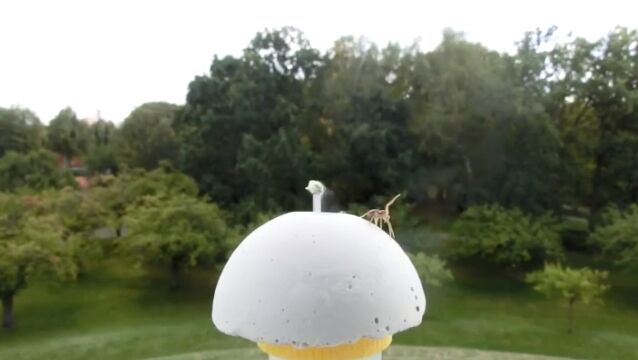 �����ɤॴ��ե����Τ��Ȥ��������������������ɤ�����