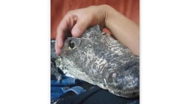 �ͤˤʤĤ�����ˤϤ����ֲİ���