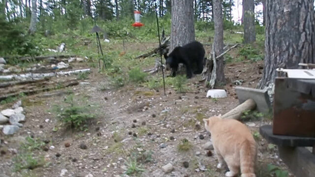 ǭ�ݤ���ǭ�ΰҳŤ˶����ʤ��������Υ��ޡ����ܻ����ڤ��Ф�