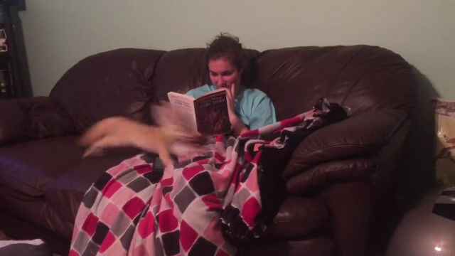 �鷺��10�ä��ޤ�ǥե��ͥå���������Ѥ�������Ǥ��������������