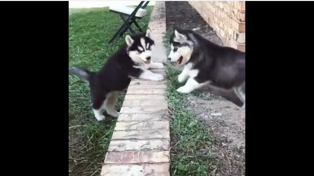 �Фꤿ���Ƥ��Ф�ʤ����Ȥ������︤������褦�ȴ�ĥ��ϥ�������