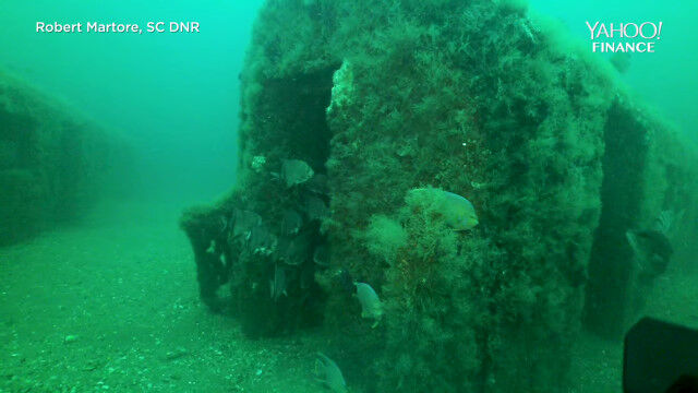 ���ܤ򽪤���2,500�ȥ���ϲ�Ŵ��ξ���������ƿ͹����̤ˢ�������ʪ��7ǯ�֤�400�ܤ�����