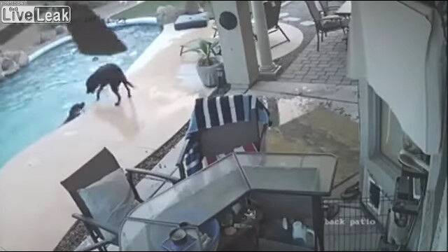 �ס�����������֤������ҡ����������ʹ�����