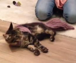 ǭ���Ϥ�ȴ���Ƥ����ġġ�ǭ���Ϥ�å����æ�Ϥ�������ˡ