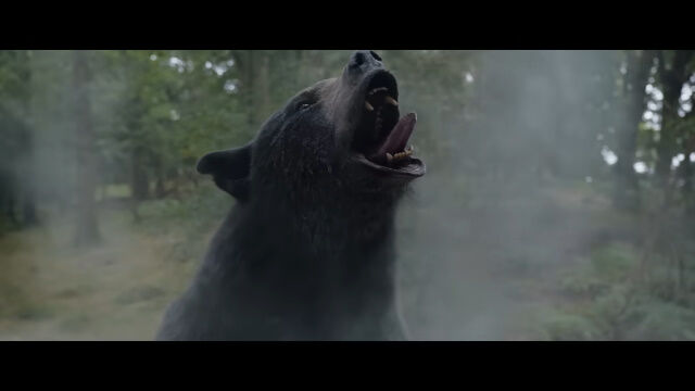 コカインを誤って大量摂取したクマが凶暴化、人々を次々に襲うというストーリーの映画「コカインベア」予告編映像
