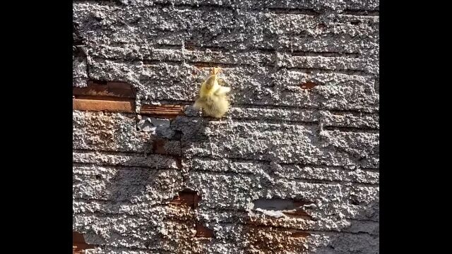 ľɤߤߤФäƤҥ⡣ճȹ⤤ǽϤ˥ӥå