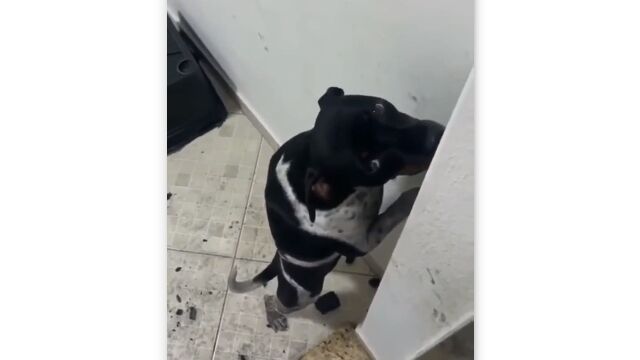 ��ʬ�Τ�餫�����������򤷤Ƥ��븤��������������᤿�����٤���