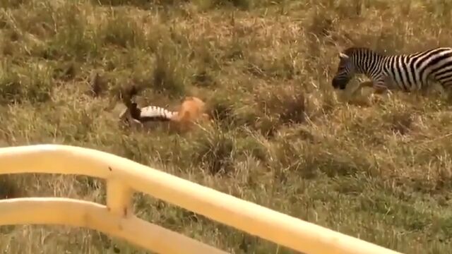 饤Ȥ줿Ҷ뤿ᡢ̿ΩäޥޤΤ줵