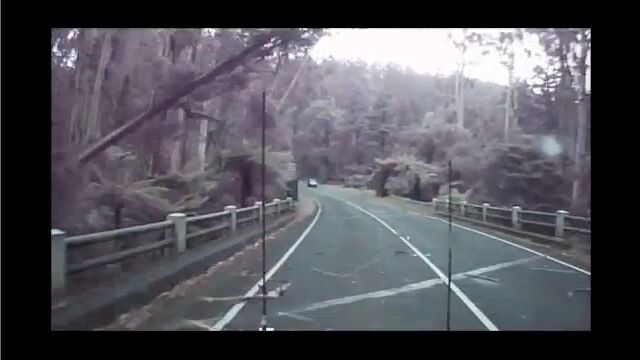 ギリギリセーフ!強風で次々に倒れてくる木々の手前で止まれた車の車載映像