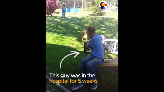 「ご主人ぽいけどちがう人かも……！！？」5週間の入院で激ヤセした飼い主に、久しぶりに会った犬の反応が面白い