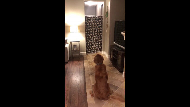 9֤˸줿Τ˶ʳ̥ǥȥС