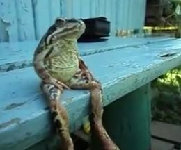 ��;Τϡ֥亮�פ˰㤤�ʤ����٥���ˤ������५����