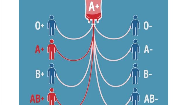 �֤��η�շ���͢��Ǥ����оݤϥ��졪�פȤ����Τ��Ҥ��ܤ�ʬ���륢�˥᡼�����