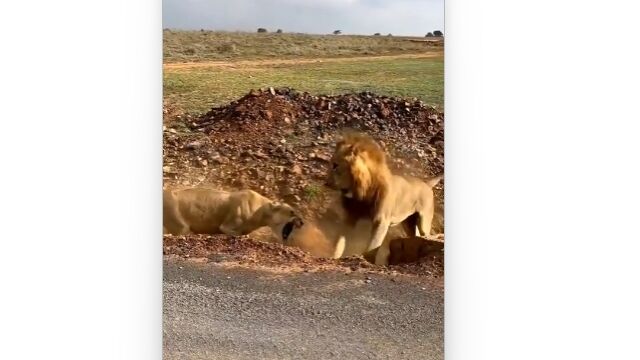 ɴ�äβ��饤����Υ����⡢�ܤ궸�ä��᥹�饤�������ˤϤ���ɽ��