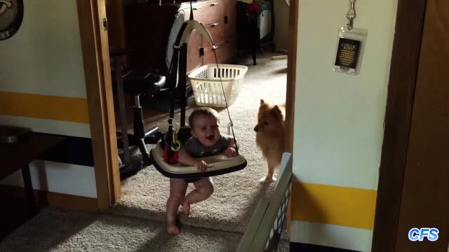 犬の行動に大爆笑。ツボにハマって笑う赤ちゃんたちの映像集