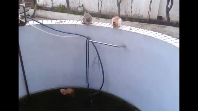 �ä���Ÿ�����ס��������Ƽ��Ϥ�æ�ФǤ��ʤ�ǭ������Ƥ�������ġ�