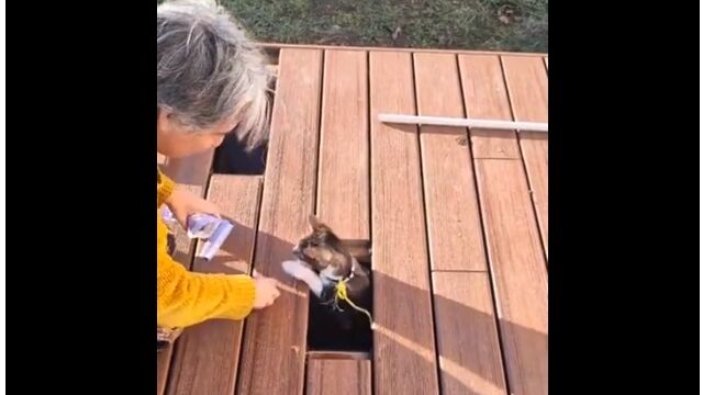 ������������Ȥ�ǭ�˼����äƤ�餦�Ȥ����ʥ����ʥ����ǥ�