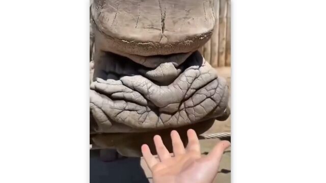 �����θ��������򸫤����Ρ��ѥ�����׶�����鴶��������