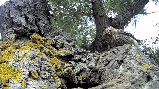 �ե���������ο����̤˥��������֡��ɥ��åפǻ��Ƥ����ե�������Ȥα���