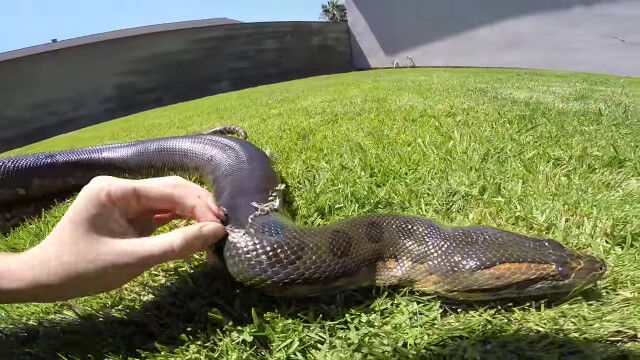 �������褵��������ؤ�æ��򤪼�������������������ޤ��뤪�Ф���