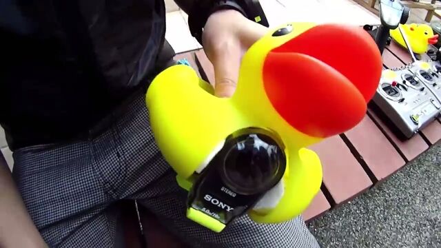 ���ҥ륫��餬ưʪ���ܼ̤��ޤ��ꡪ���ˡ���������󥫥����¢���������������å���ưʪ��ȿ�²�ۤ��������Ƥߤ�