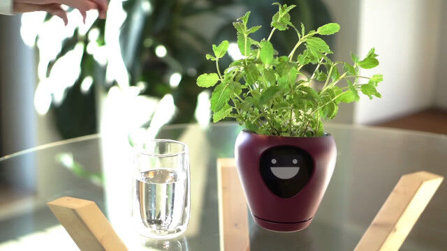 ɽ��椿���ʴ���ɽ���Ǿ����������Ƥ���륹�ޡ��ȥץ�󥿡�