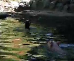 ���Ԥ�����Ů���䥮����֤Ƚ�����֥����󤬳ʹ��褹����