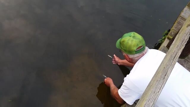 �ˤ������Ȥ⤤��ʤ��������ξ�����������ʪ����ޤ��뤪������������