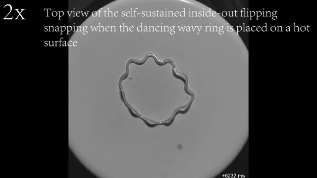 グニャグニャうごめく輪ゴムみたいなロボット。ノースカロライナ州立大学の研究者が開発