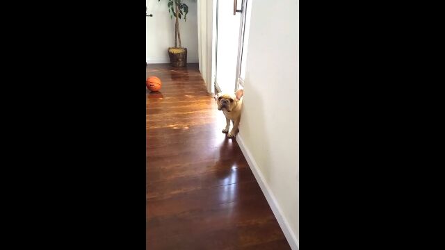 ֥ڥ򤫤äȿͤϤʤ䤤ͤ᤿ݤȿ¤ʬ䤹ե֥ɥå