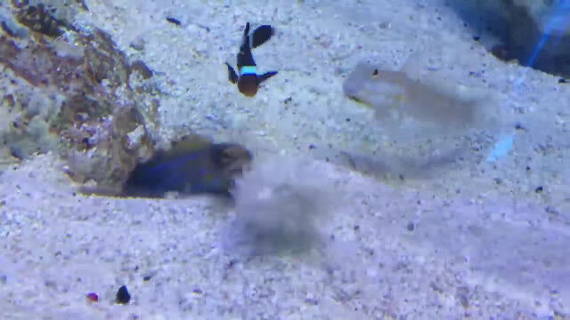 ����ϤҤɤ������򤫤��Ф��������������⤷�ơ����򤫤������Ƥ������ȥ�ϥ�