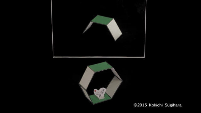 脳みその騙されっぷりがすごい、鏡に写った姿が別物の錯視立体