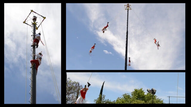 儀式参加者の視点で見た、高所から宙吊りの4人が回転しながら降りてくるメキシコの不思議な儀式